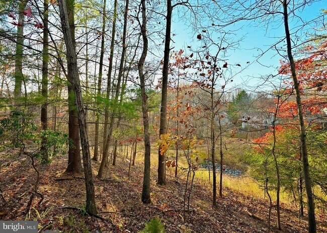 Building Photo - Beautiful, freshly updated townhome with a contemporary feel in the Wootton high school district!