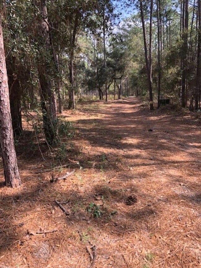 Building Photo - 2 BEDROOM 2 BATH MOBILE ON 2.21 ACRES IN LAKE TROPICANA RANCHETTES