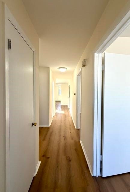 Building Photo - 71 Linnet St