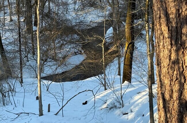 Building Photo - 74 Prynne Ridge Rd