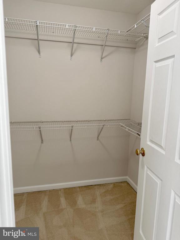 Building Photo - 25207 Bald Eagle Terrace