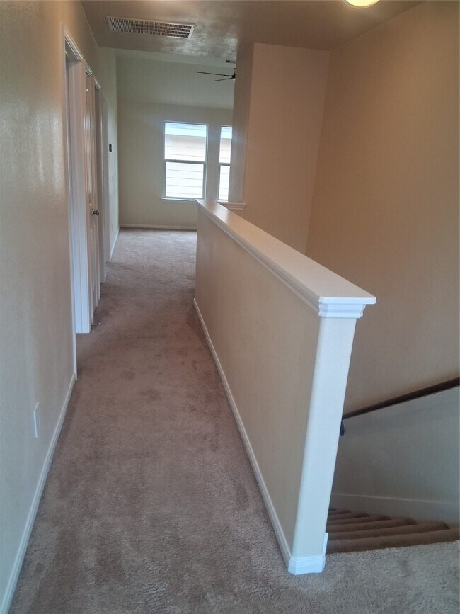 Building Photo - 13610 Spectacled Bear