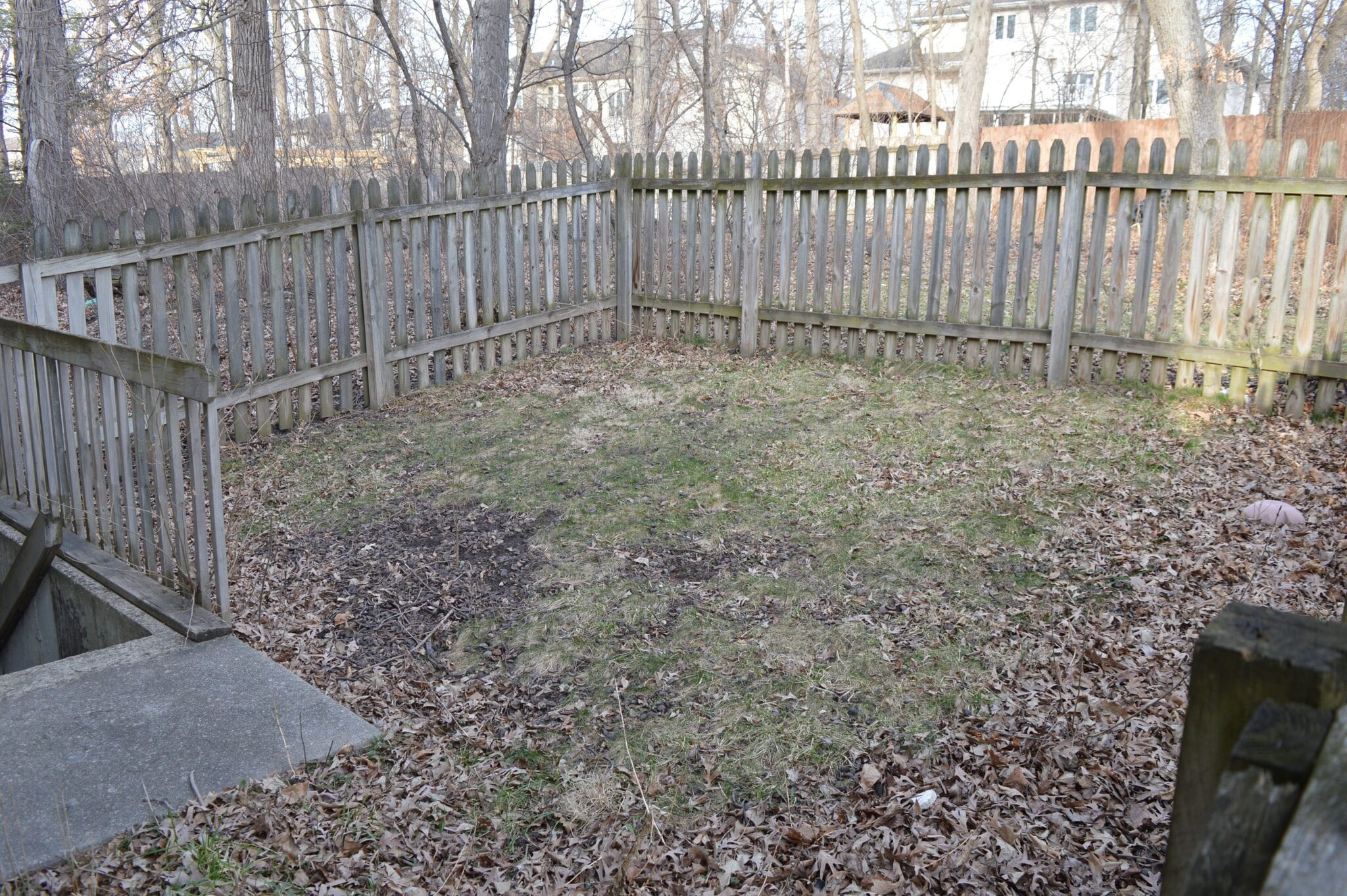 Building Photo - 1043 N Thompson Dr