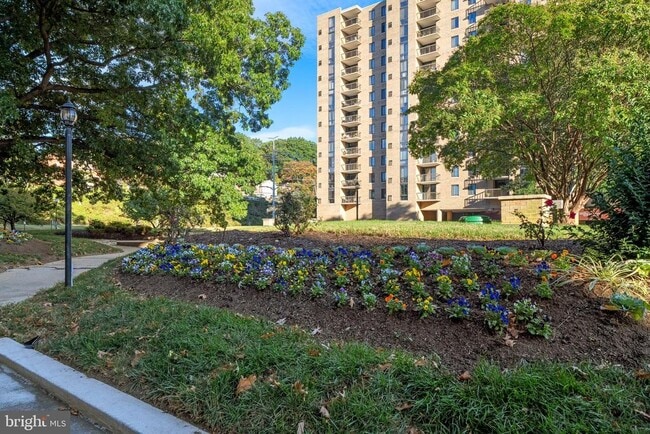 Building Photo - 4600 S Four Mile Run Dr