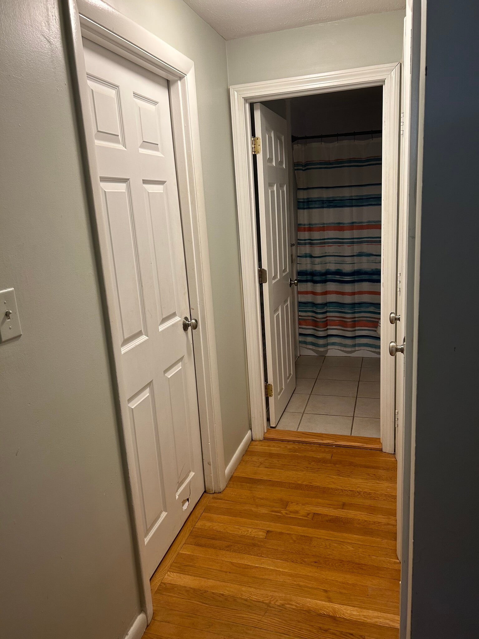 Hallway to Bathroom - 2 Albert Dr