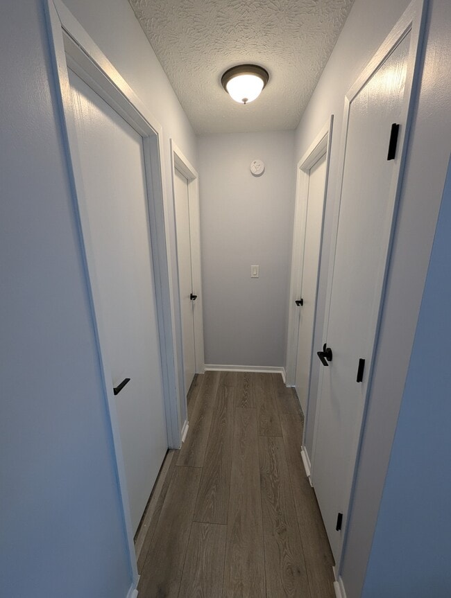 hallway - 28 Cheshire St