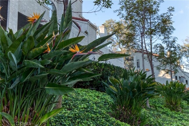 Building Photo - 17202 Corbina Ln