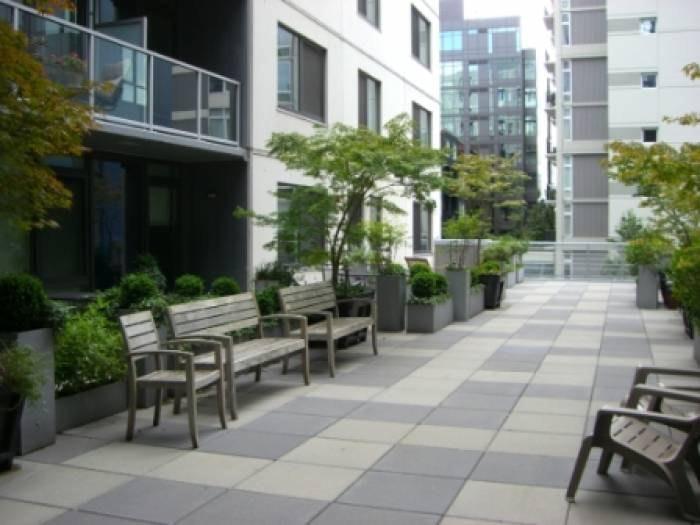 Rooftop Terrace - 81 Clay St