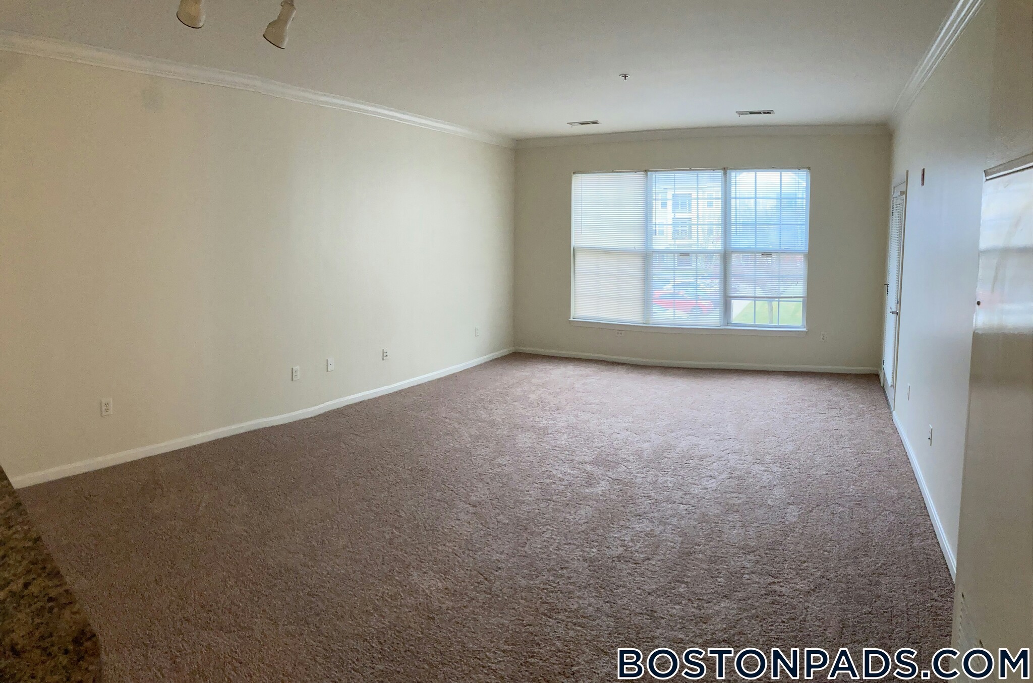 Building Photo - 311 Lowell St