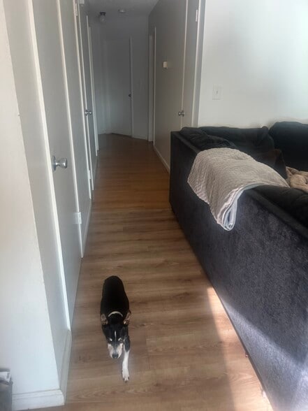 Hallway leading to bedrooms and bathroom. Hallway also has 2 storage closets/ entrance to the attic - 73 Silcreek Dr