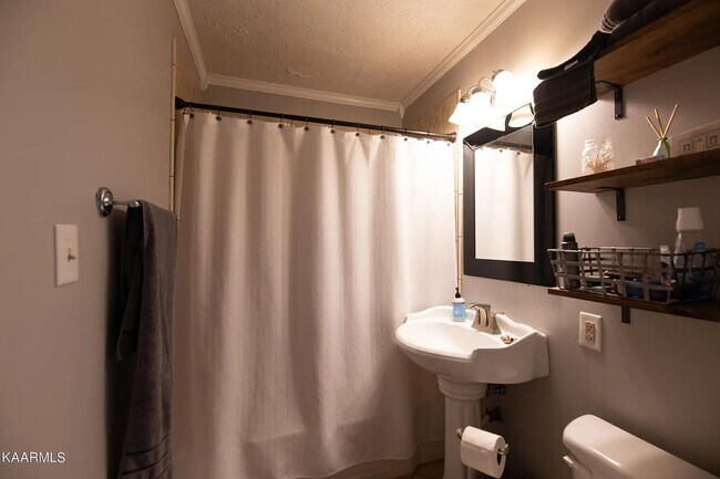 Building Photo - Updated North Knoxville Gem | Massive Fenced Yard & Prime Location!