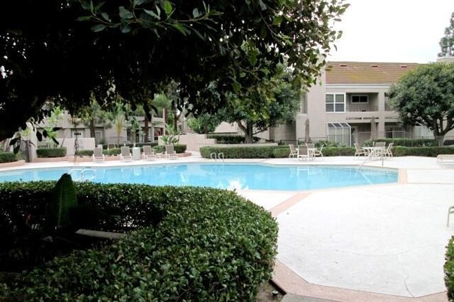 Community Pool - 40 Vassar Aisle