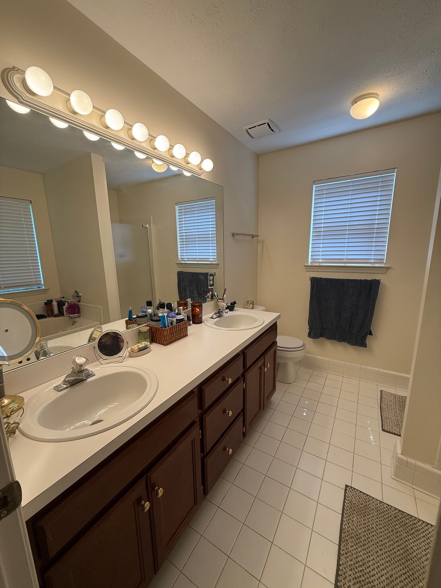 Building Photo - 1313 Brendale Ct