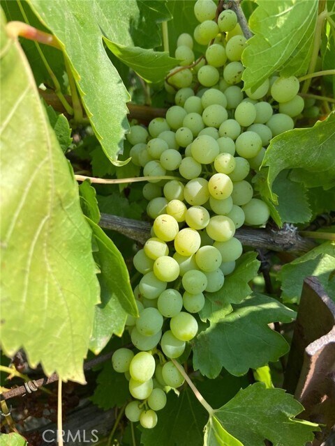 Building Photo - 2445 Helen Rd