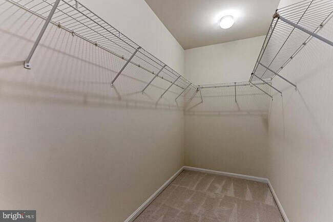 Building Photo - 7117 Mason Grove Ct