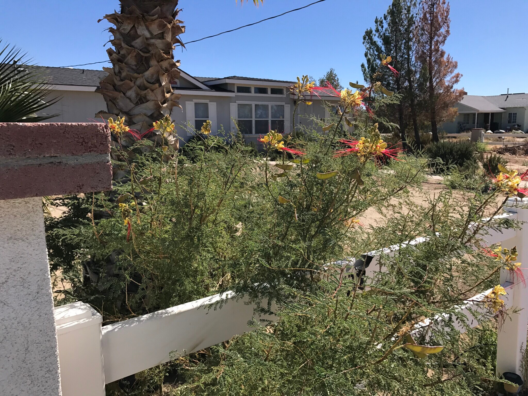 Building Photo - 1364 60th St W