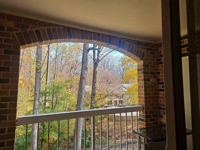 Building Photo - Bright and Cozy 1 Bed 1 Bath Condo In With Balcony In Vibrant Burke Cove