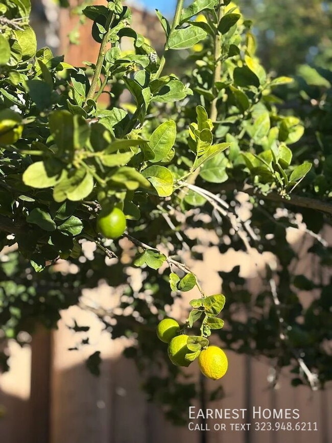 Building Photo - 517 E Chestnut St