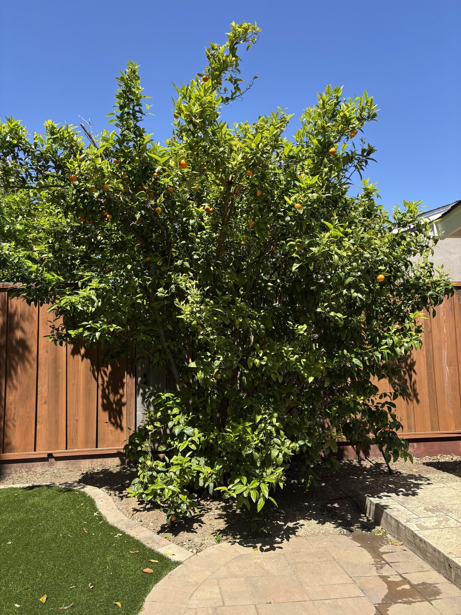 Building Photo - 6723 Altiplano Way