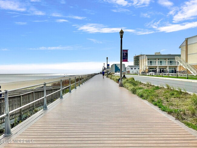 Building Photo - 543 Springdale Ave