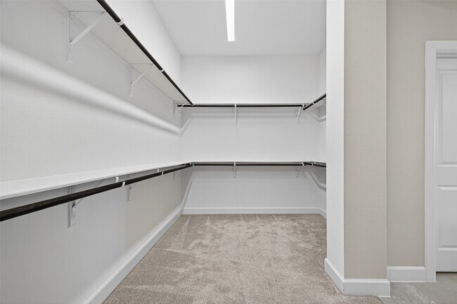 Building Photo - 302 Pure Parsley Path