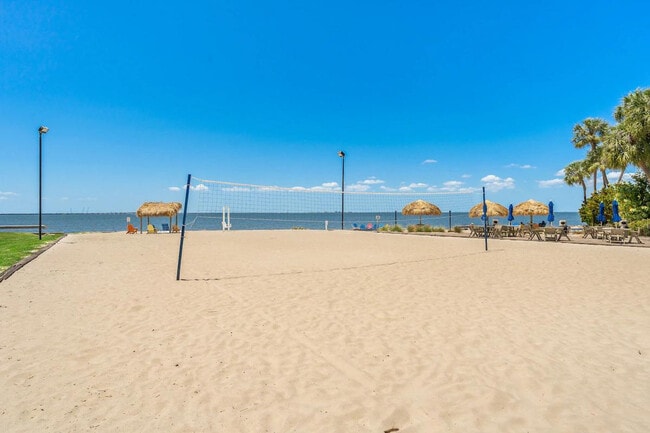 Building Photo - 2502 N Rocky Point Dr