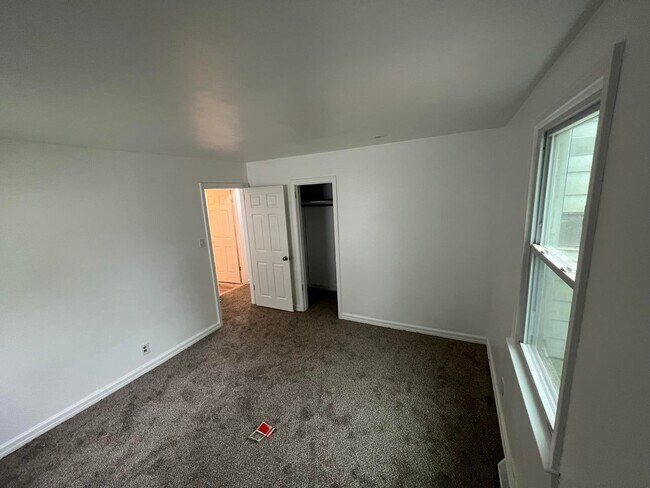 Building Photo - 317 Leonard St