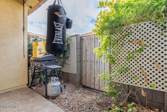 Backyard - 455 S Mesa Dr