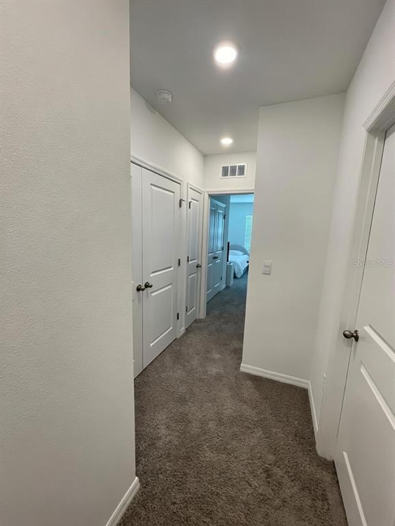 Building Photo - 32599 Turtle Grace Lp