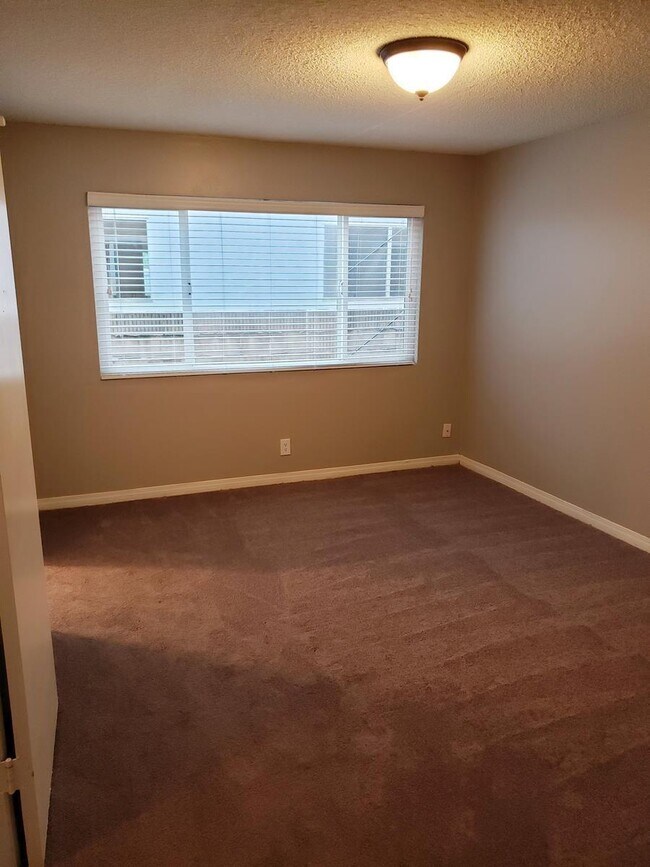 Interior Photo - 291 Avocado St.