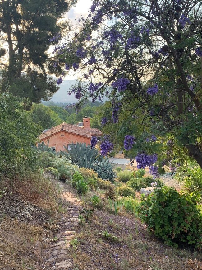 Building Photo - best of both worlds