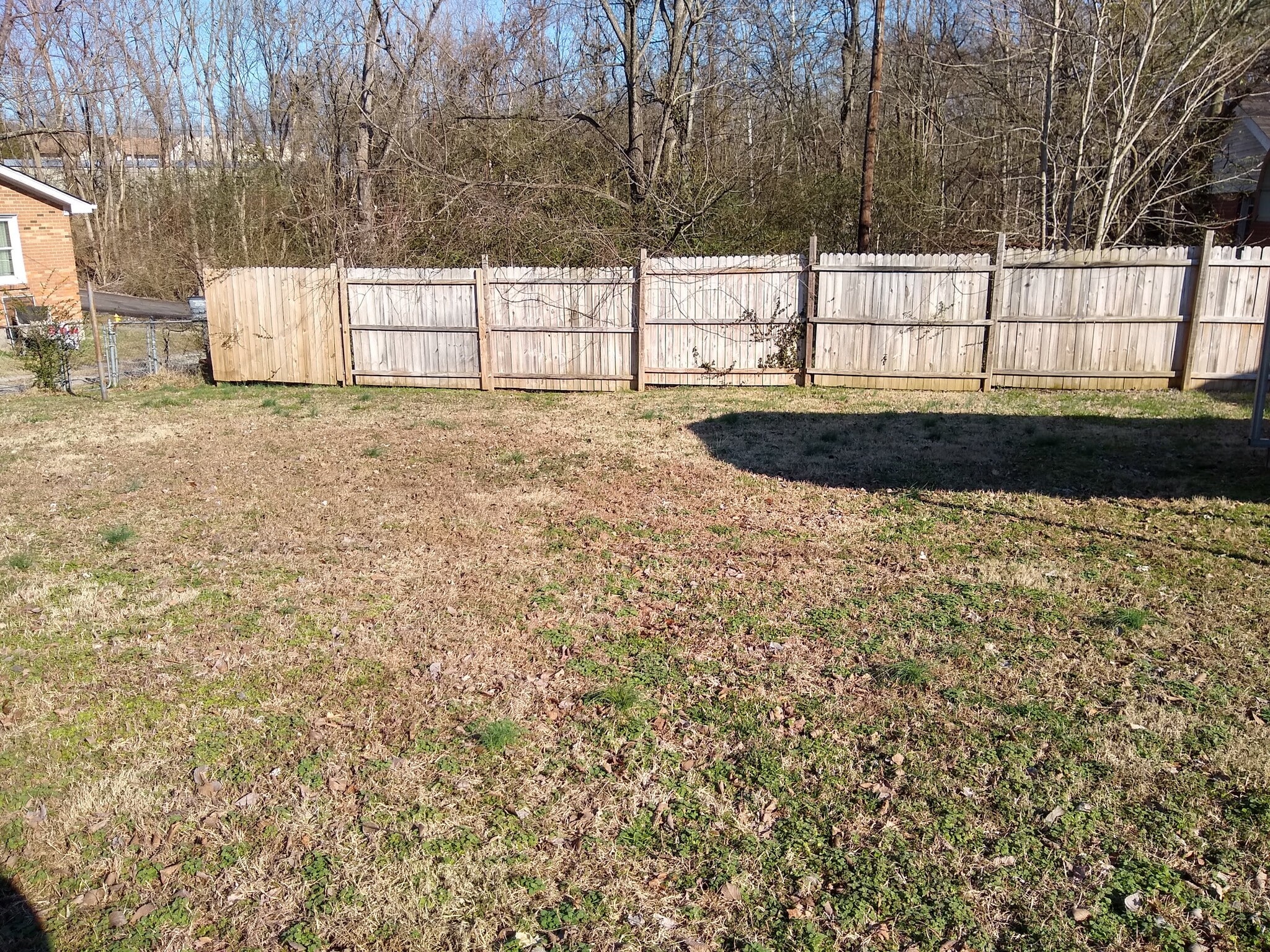 Backyard - 1411 Daniel St