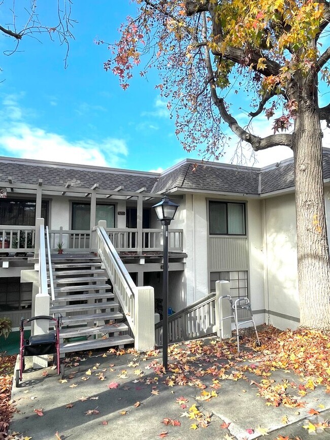 Building Photo - Spacious 2 Bedroom 2 Bathroom Unit in The ...