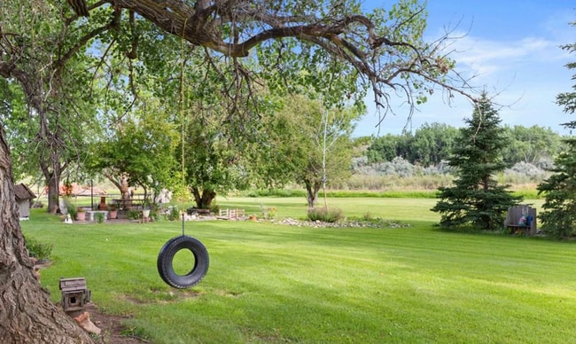 Building Photo - 3 bed farm house with 2 acres