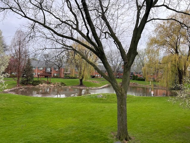 Building Photo - 707 Falcon Dr