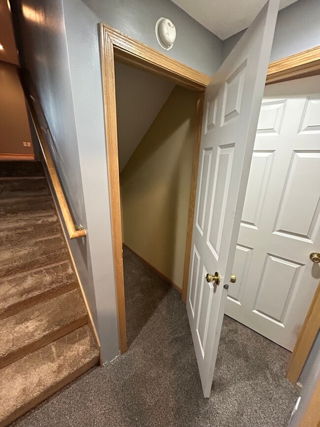 Building Photo - 345 Blue Spruce Ln