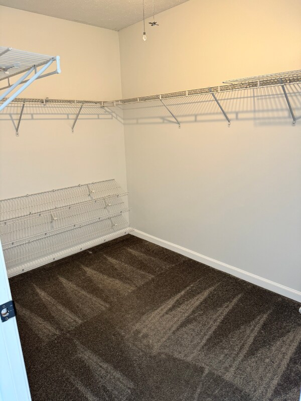 Building Photo - 5068 Bristle Cone Cir