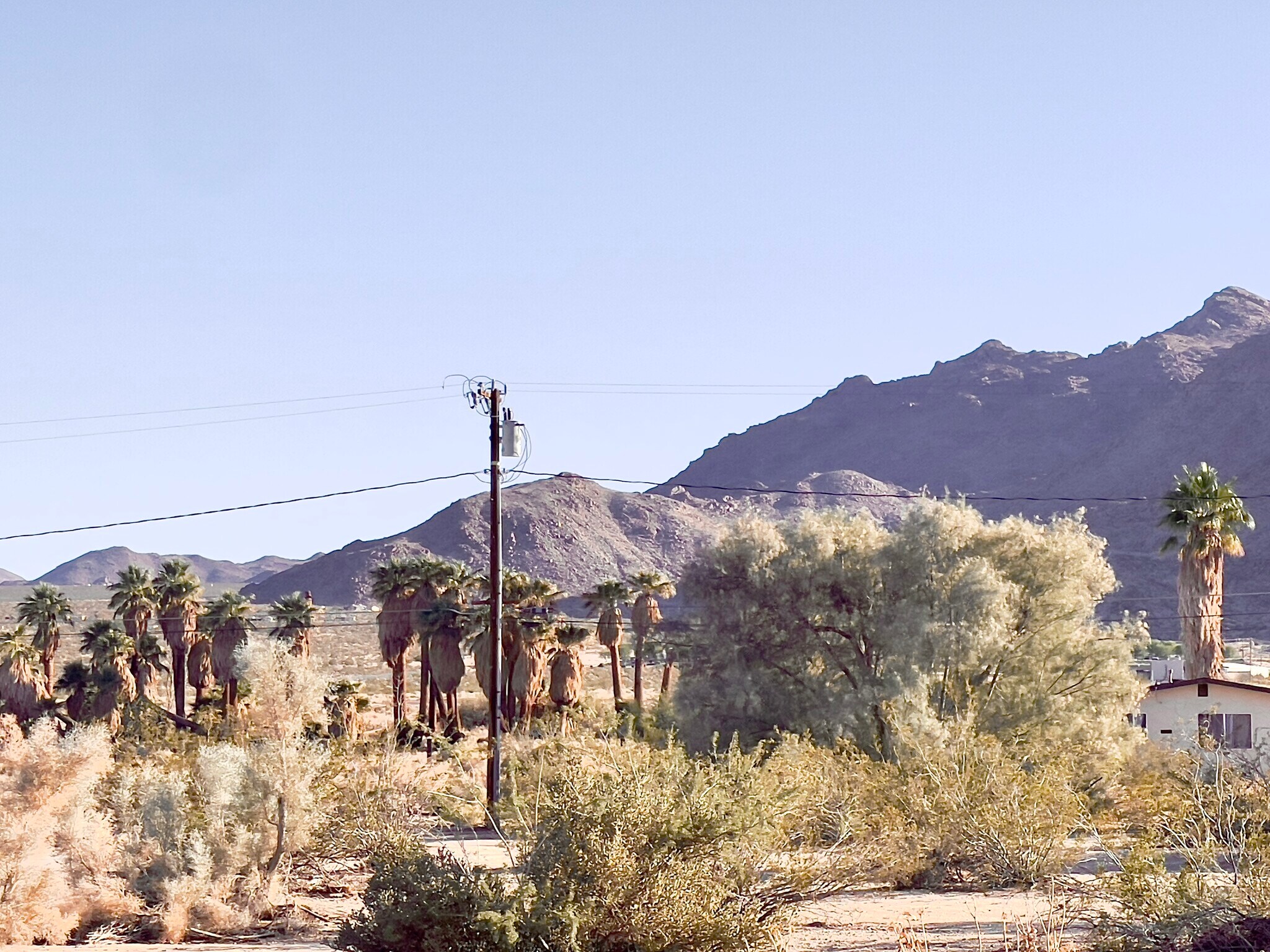 Building Photo - 6707 Palo Verde Ave