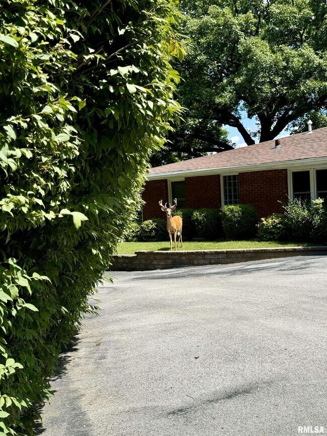 Building Photo - 4640 5th Ave