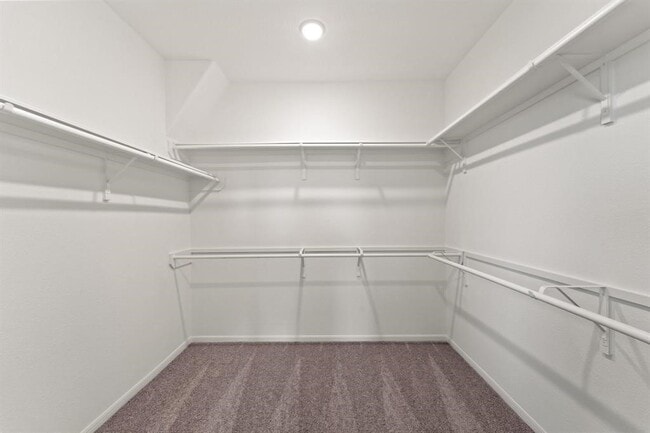 Building Photo - 27518 Beachside Arbor Dr