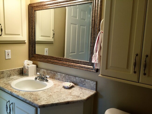 Building Photo - Fully Furnished, Turnkey 1BR/1BA Riverfron...