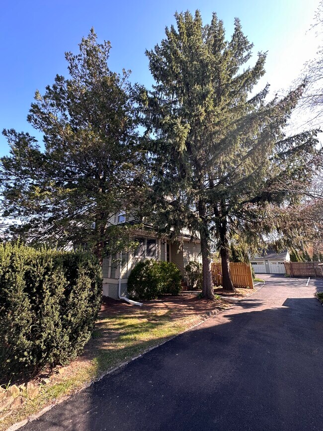 Driveway - 229 Walnut St