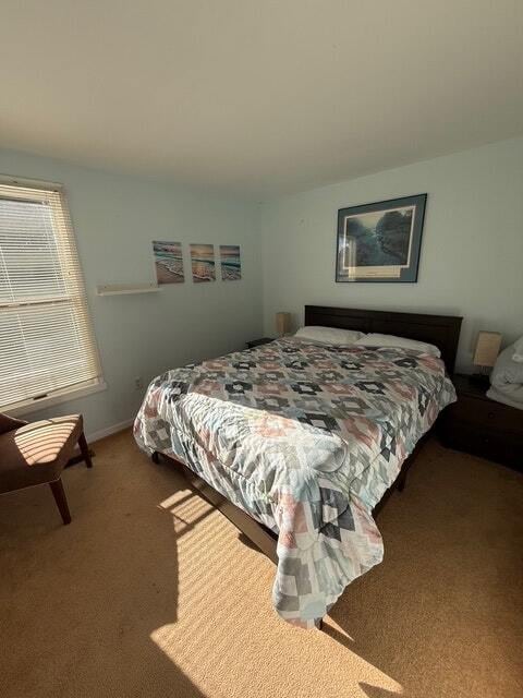 Building Photo - 21 N Pintail Dr