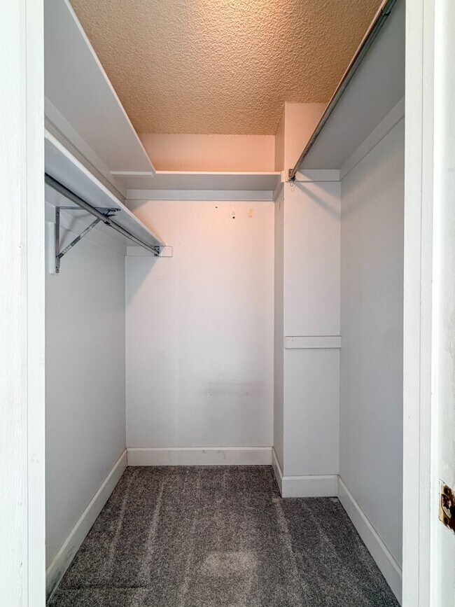 Building Photo - Updated Single-Family Home in Centennial!