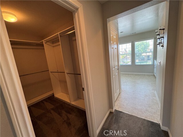 Building Photo - 3469 Presidio Ln