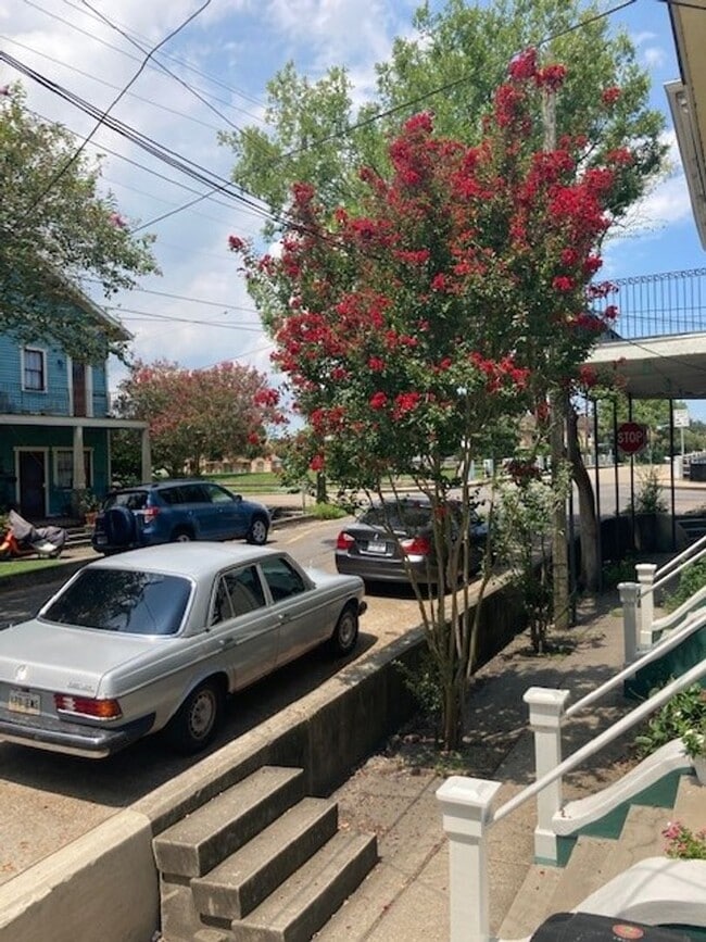 Building Photo - 3349 Dumaine St