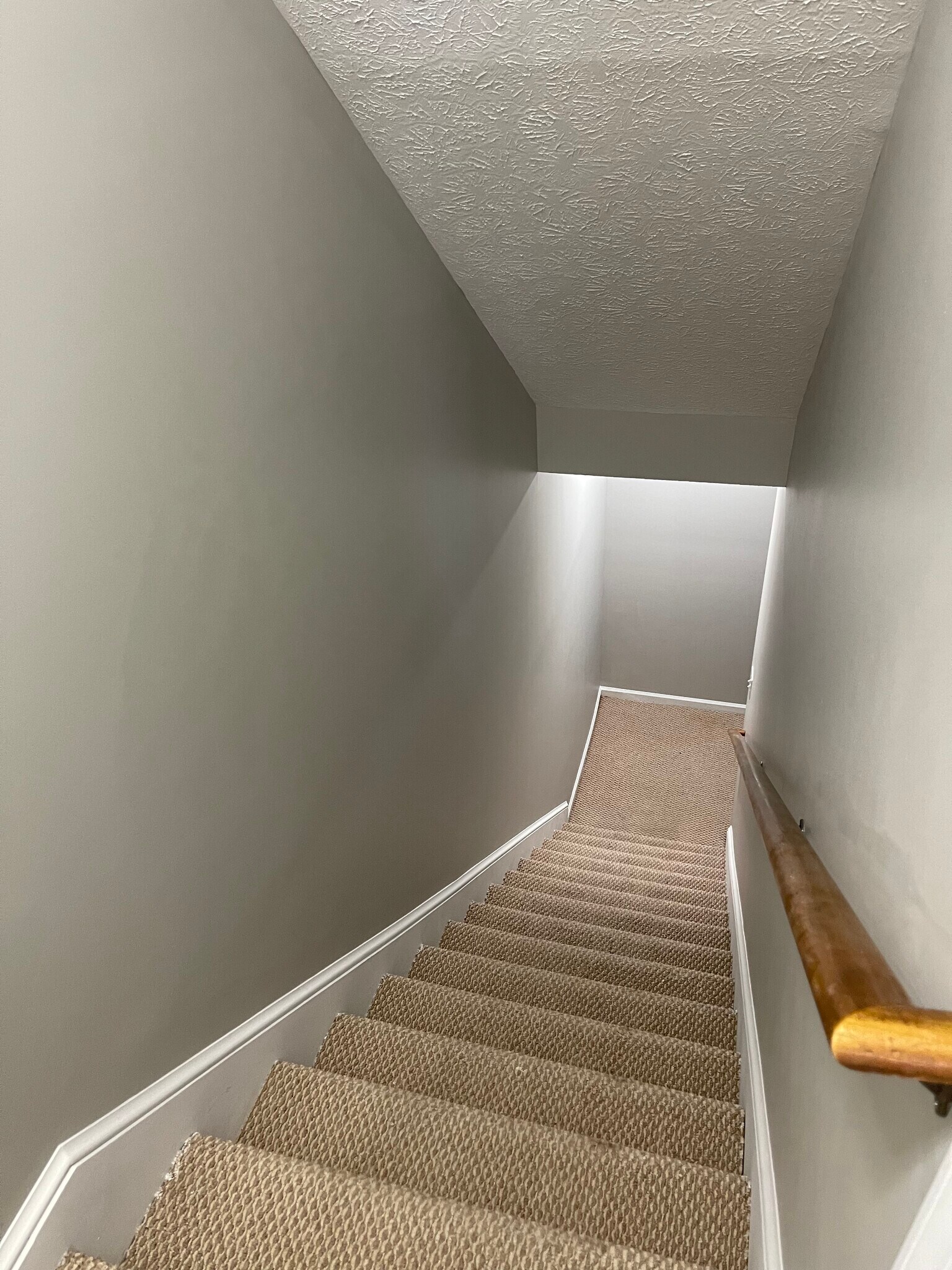 Building Photo - 515 Northwynd Cir