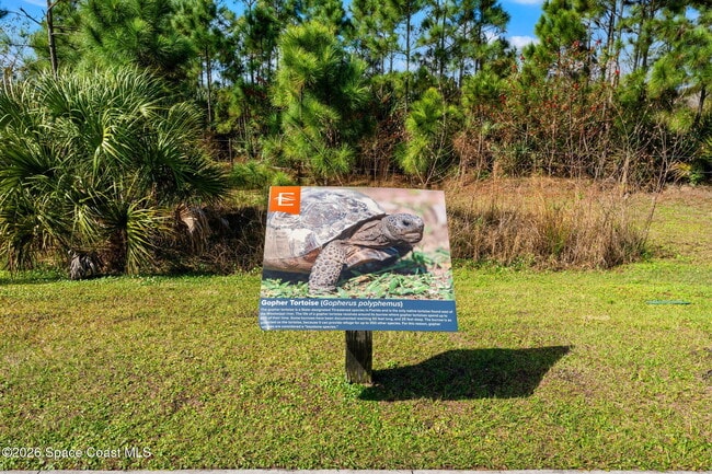 Building Photo - 1464 Island Ave NW