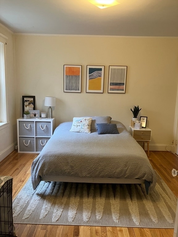 Building Photo - 41 Linnaean St