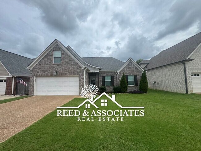Primary Photo - Spacious Olive Branch Home